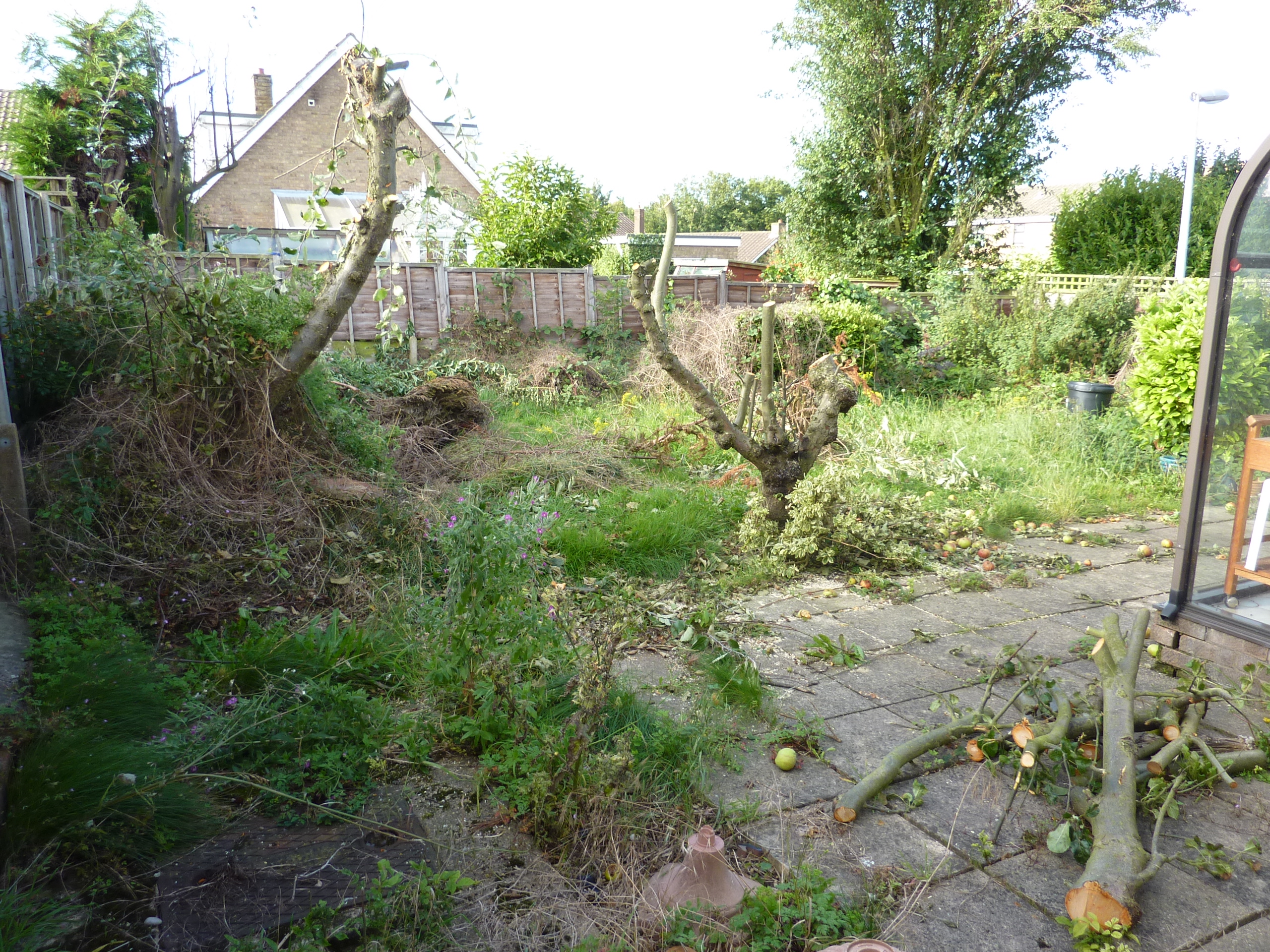 garden untidy ashby scunthorpe