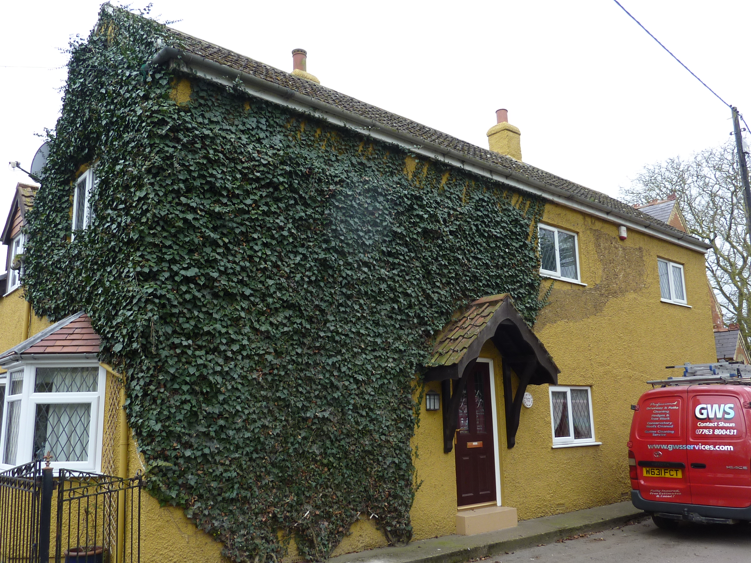 ivy trimming removal reduction scunthorpe