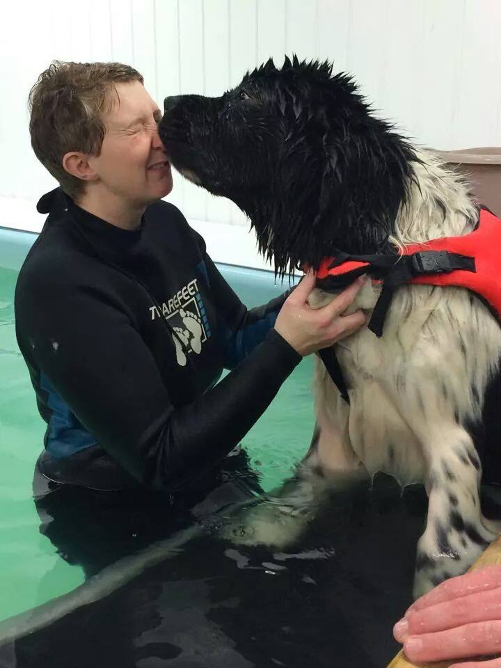 Hydrotherapy for dogs is not only enjoyable but helps with building up muscles , injury recovery and pain relief from arthritis. Morag Burton is pictured with one of her charges at The Solway Canine Hydrotherapy Centre Dumfries