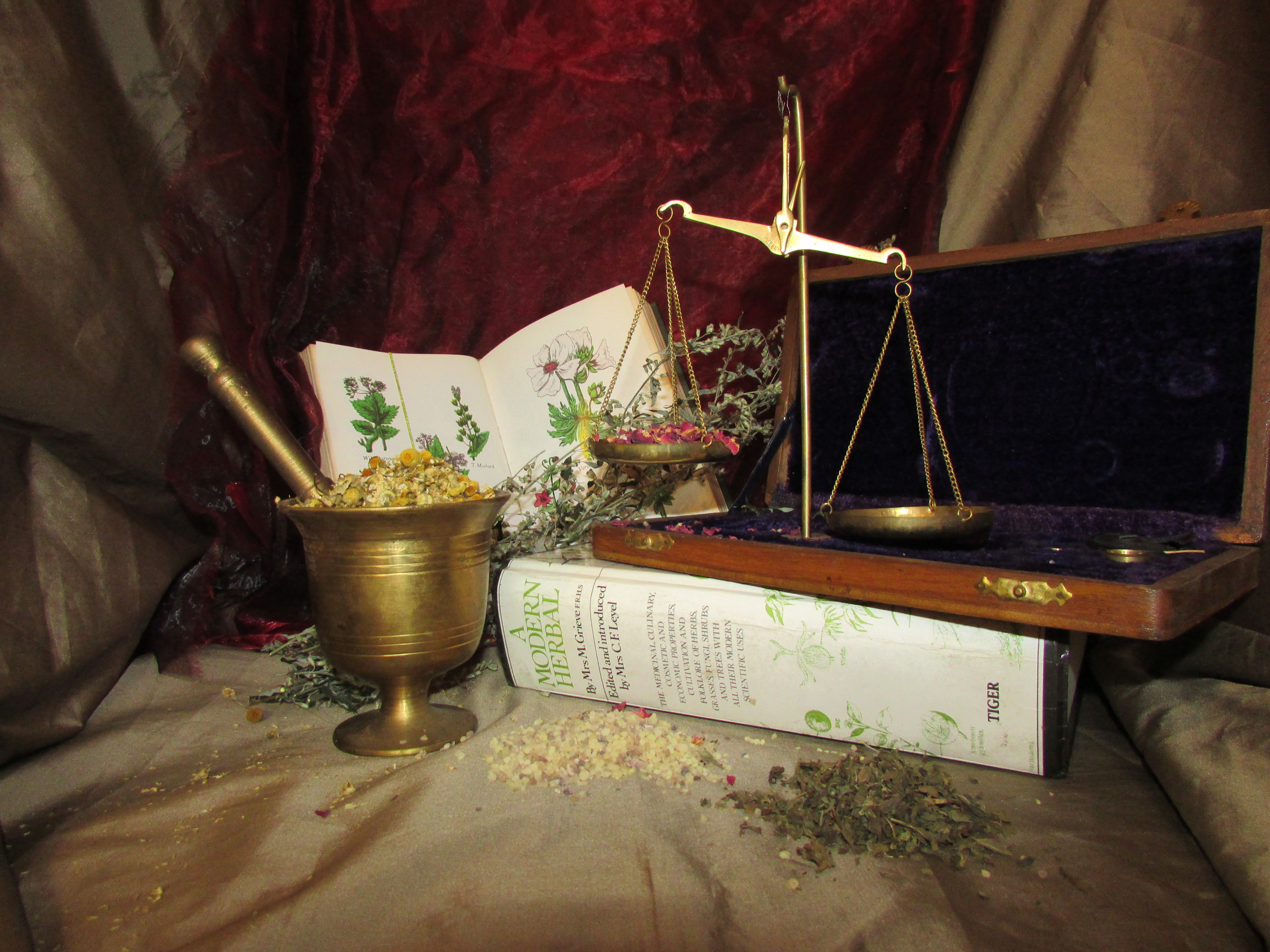 Magical Herbs & Resins - Elderflowers
