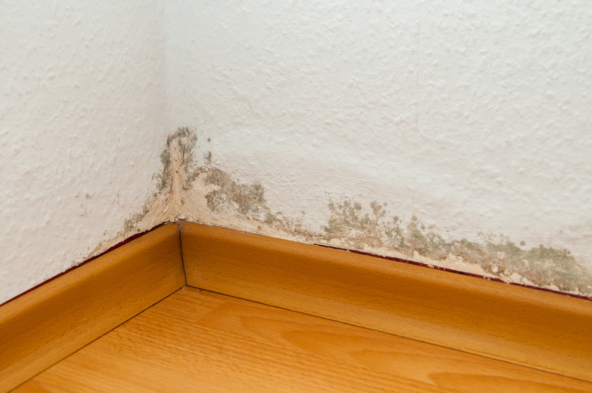 Rising damp treatments by Ryedale Remedials Ltd of Dumfries