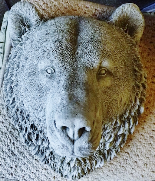 Bear Head Plaque