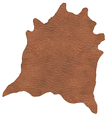 Tan-coloured hide
