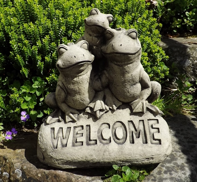 'Welcome' Frogs