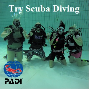Padi Discover Scuba Diving lessons
